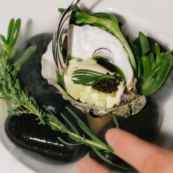 OysterIC