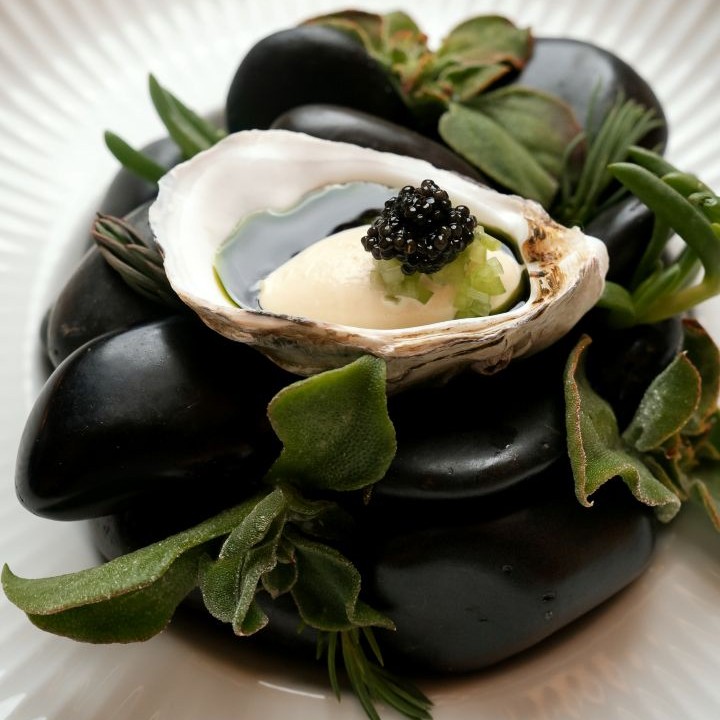 Oyster
